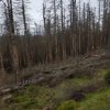 April 2018 Harz